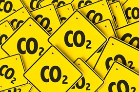 Green paper sends carbon signal