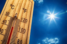 Queensland and NSW put the heat on demand