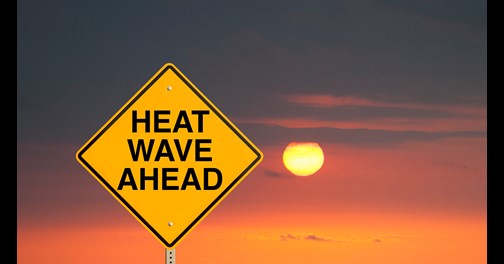 Heatwaves and Electricity Supply - Media Briefing Paper