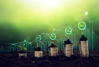 Green schemes: What are they and how are they causing greater inequality?