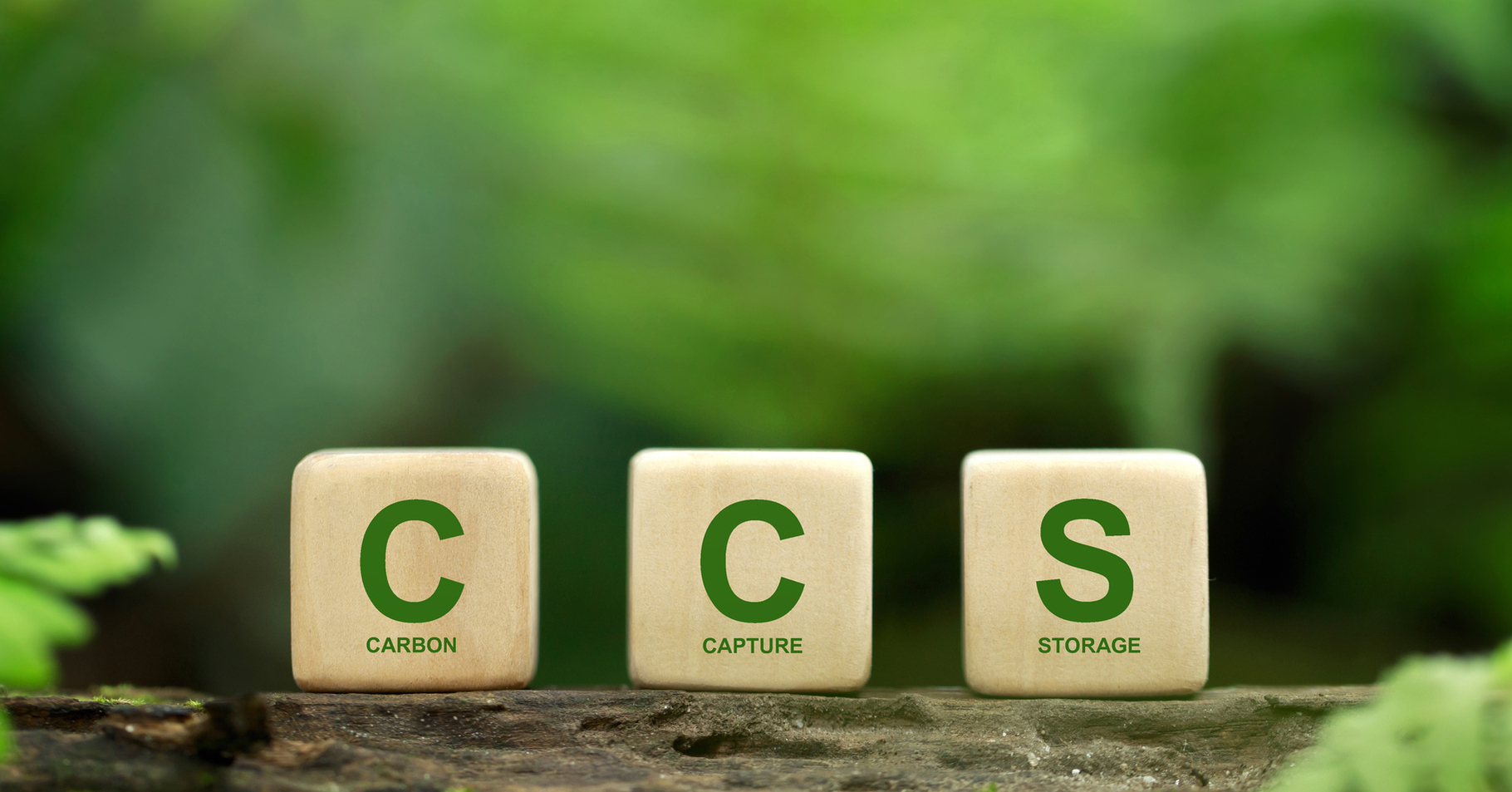 Carbon Capture Storage – A viable option for Australia’s future?
